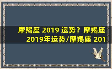 摩羯座 2019 运势？摩羯座2019年运势/摩羯座 2019 运势？摩羯座2019年运势-我的网站